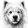 Big White Dog Business Services and Accounting